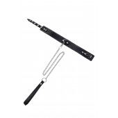 Кожаный двухслойный ошейник с белой строчкой и поводком - Pecado - купить с доставкой в Балашихе