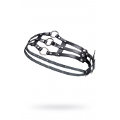 Черный кожаный пояс с кольцами - Pecado - купить с доставкой в Балашихе