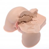 Мастурбатор-полуторс Naked Factory Kate - Naked Factory - в Балашихе купить с доставкой