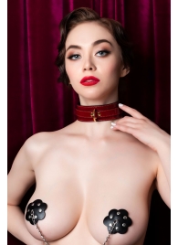 Красный ошейник из лакированного материала - ToyFa - купить с доставкой в Балашихе