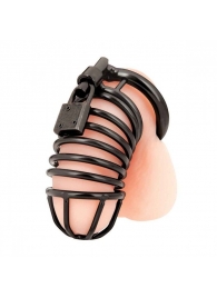 Черная металлическая клетка с замком Deluxe Chastity Cage - BlueLine - купить с доставкой в Балашихе