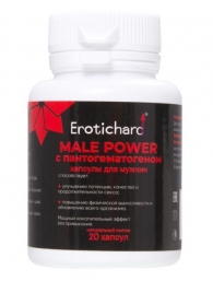 Капсулы для мужчин Erotichard male power с пантогематогеном - 20 капсул (0,370 гр.) - Erotic Hard - купить с доставкой в Балашихе