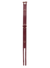 Бордовый ремень Halo Waist Belt - размер L-XL - Shots Media BV - купить с доставкой в Балашихе
