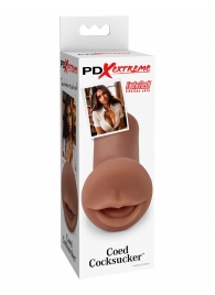 Мастурбатор-ротик Coed Cocksucker - Pipedream - в Балашихе купить с доставкой