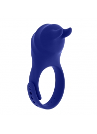 Синее эрекционное виброкольцо с клиторальной подушечкой и пультом ДУ Adjustable Fun Ring - Zero Tolerance - в Балашихе купить с доставкой