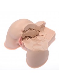 Мастурбатор-полуторс Naked Factory Kate - Naked Factory - в Балашихе купить с доставкой