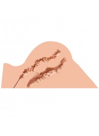 Мастурбатор-полуторс Naked Factory Hannah - Naked Factory - в Балашихе купить с доставкой