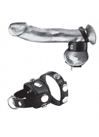 Утяжка для мошонки и пениса Cock Ring With 1  Ball Stretcher And Optional Weight Ring - BlueLine - купить с доставкой в Балашихе