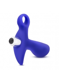 Синий стимулятор простаты с ручкой-кольцом Performance Prostimulator 02 - Blush Novelties - в Балашихе купить с доставкой