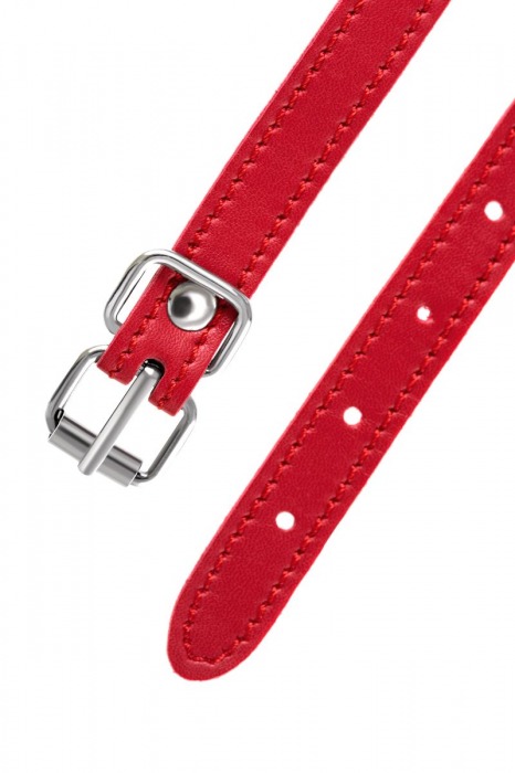 Красная маска Anonymo из искусственной кожи - ToyFa - купить с доставкой в Балашихе