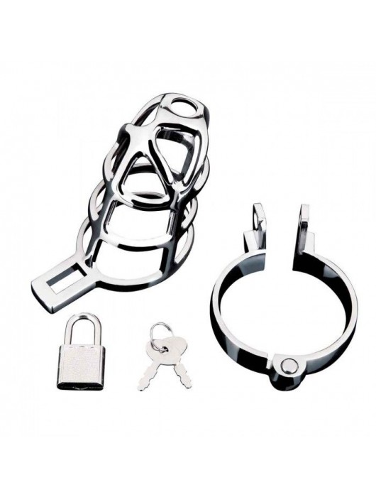 Серебристая металлическая клетка для члена с замком Enslave Cock Cage - BlueLine - купить с доставкой в Балашихе