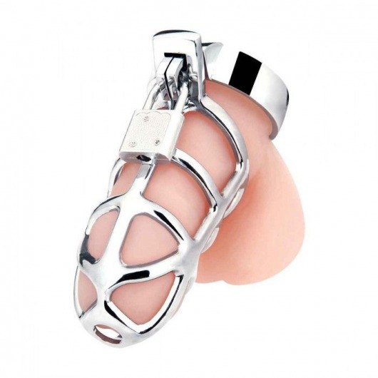 Серебристая металлическая клетка для члена с замком Enslave Cock Cage - BlueLine - купить с доставкой в Балашихе