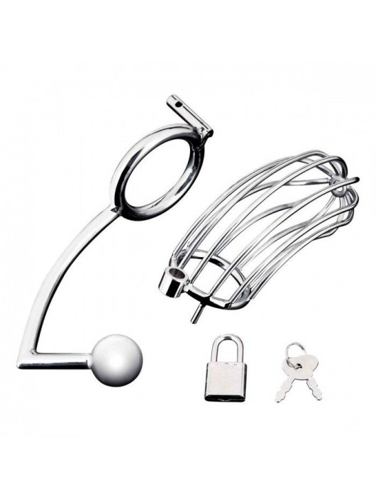 Серебристая металлическая клетка с анальным стимулятором Cock Cage - BlueLine - купить с доставкой в Балашихе