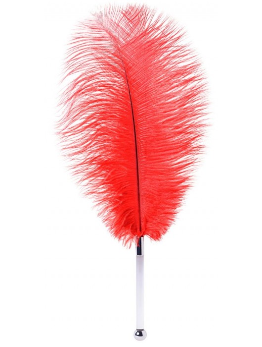 Красное страусовое пёрышко - ToyFa - купить с доставкой в Балашихе
