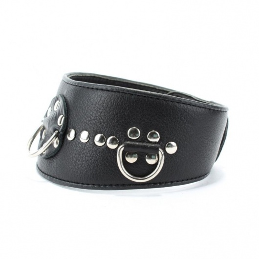 Чёрный кожаный ошейник с полукольцами и клёпками - БДСМ Арсенал - купить с доставкой в Балашихе
