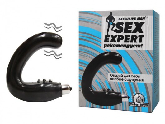 Чёрный массажёр простаты серии Sex Expert - Sex Expert - в Балашихе купить с доставкой