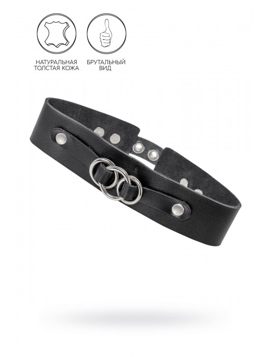 Черный чокер-ошейник со связанными кольцами на подложке - Pecado - купить с доставкой в Балашихе