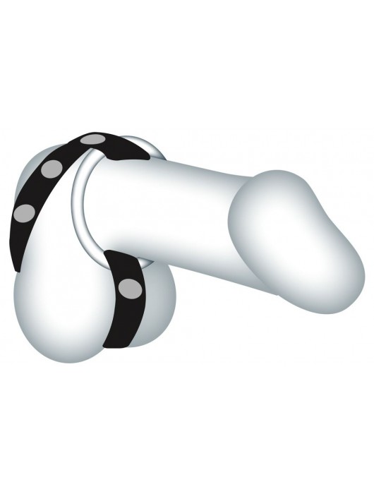 Подхват для мошонки с 3 съемными эрекционными кольцами Leder-Riemen - Orion - в Балашихе купить с доставкой