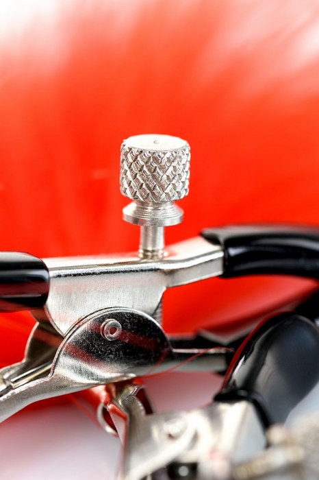 Зажимы для сосков с красным пухом Theatre - ToyFa - купить с доставкой в Балашихе