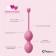 Набор из 3 розовых вагинальных шариков FemmeFit Advanced Pelvic Muscle Training Set - FeelzToys в Балашихе Набор из 3 розовых вагинальных шариков FemmeFit Advanced Pelvic Muscle Training Set - FeelzToys